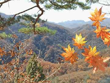 爱上海：Participating in outdoor activities and fitness in Shanghai