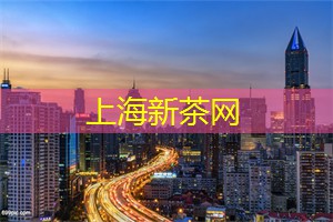 上海419论坛：上海茶庄的美好回忆与体验