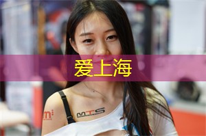 上海娱乐网：上海青少年篮球发展的支持系统